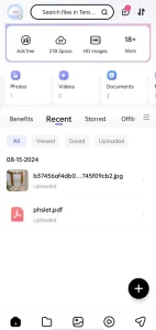 terabox application home page interface 
