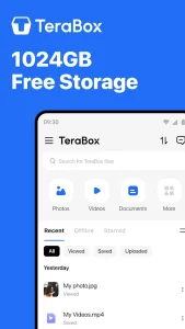 Terabox apk interface
